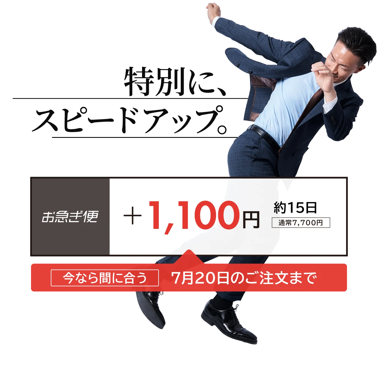 特別に、スピードアップ。約15日。「お急ぎ便」+1,100円（通常7,700円）今なら間に合う 7月20日のご注文までの特別価格