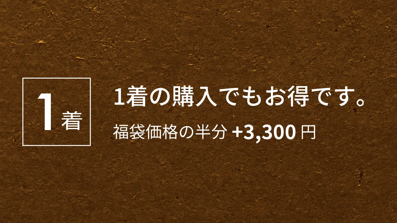 1着の購入でもお得です。福袋価格の半分+3,300円。