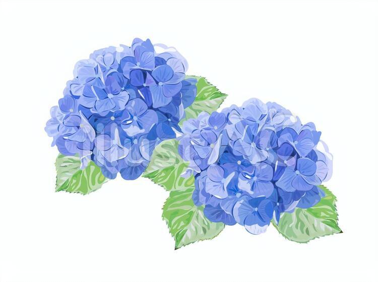 雨の日が増えましたね 店舗ブログ オーダースーツsada フルオーダーで19 800円 税込21 780円 雨の日が増えましたね 店舗ブログ オーダースーツsada フルオーダーで19 800円 税込21 780円