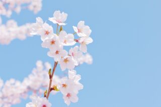 【初級編】冠婚葬祭におけるスーツの選び方と注意すべきポイントのアイキャッチ画像