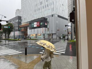 台風直撃！の画像
