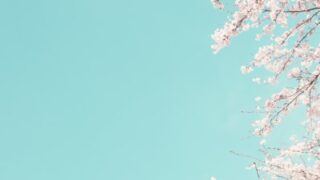 のアイキャッチ画像