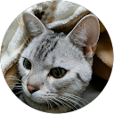 N K profile picture