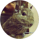 Atamaru profile picture