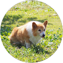 さとし profile picture