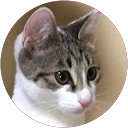 eiichiro saga profile picture