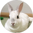 ノブ profile picture