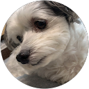 shin_ taro_ profile picture