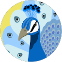 nao profile picture