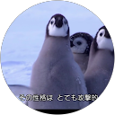 田沼尓煜 profile picture