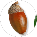 Gotztzto profile picture