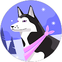 SDU profile picture