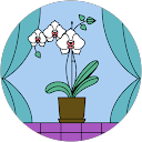 あいうえお profile picture